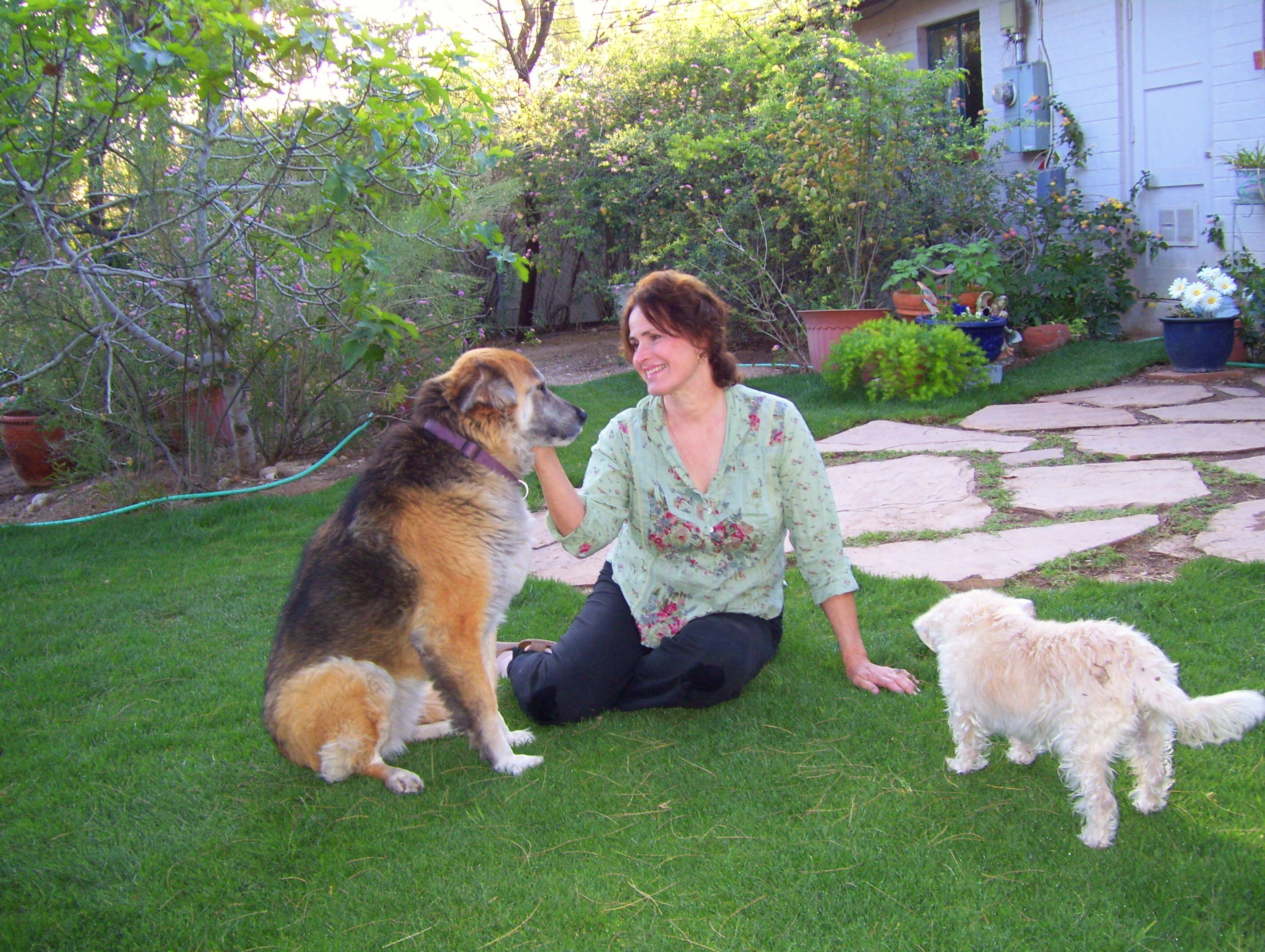 Home Sweet Home Pet Sitting and Dog Walking