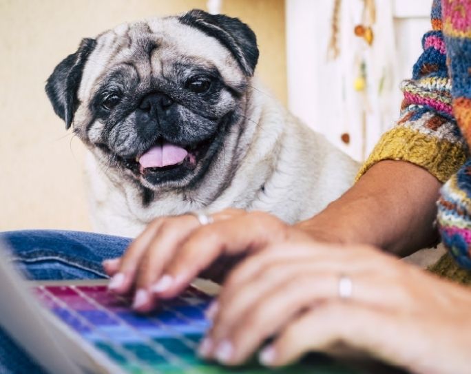 2025 Planning Calendar for Pet Sitters and Dog Walkers