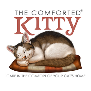 The Comforted Kitty Cat Sitting