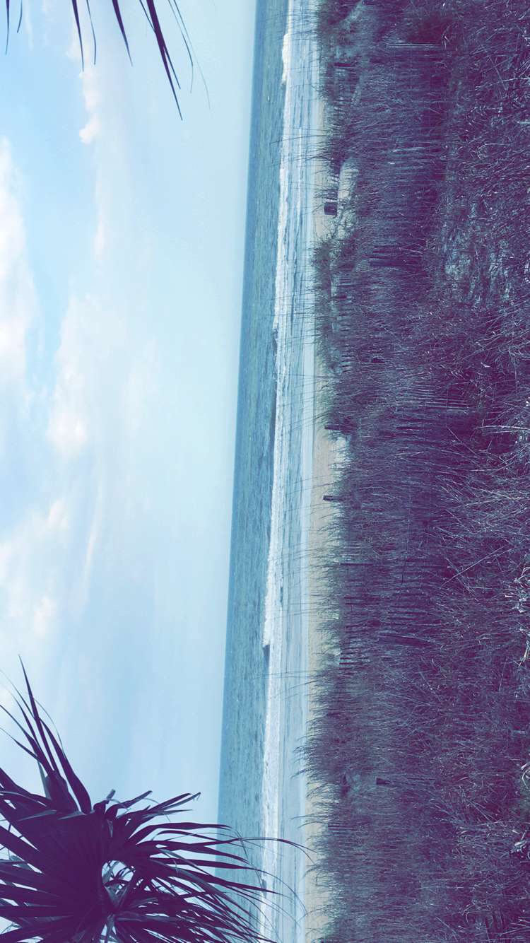 Peace of Mind Pet Sitting/Pittsburgh Pet Attendants