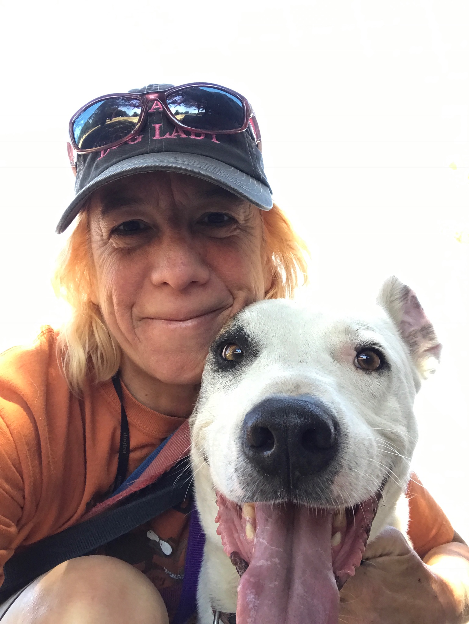 Wag 'N' Wheel Pet Care