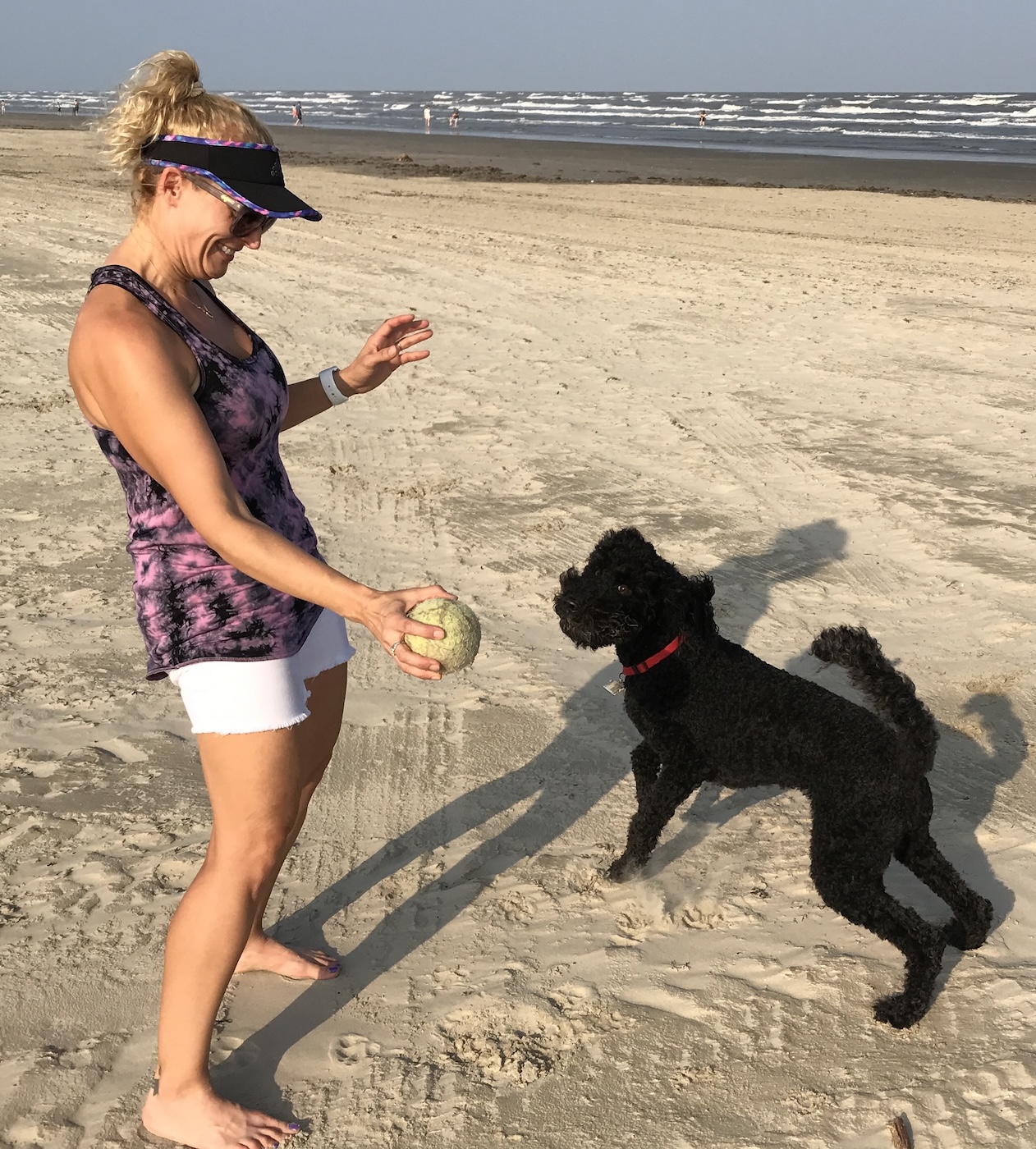 Your Pet Sitter Angie