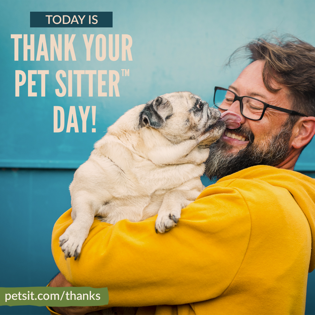 A male pet sitter wearing a bright yellow hoodie holds a small white pug. The text on the image says Today is Thank Your Pet Sitter Day!
