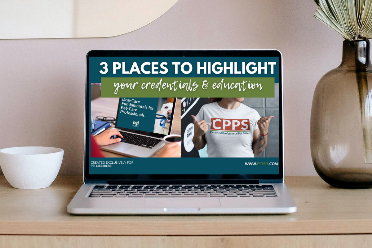 Free Training: 3 Places to Highlight Your Education & Credentials