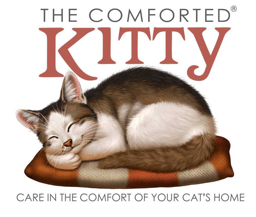 The Comforted Kitty Cat Sitting